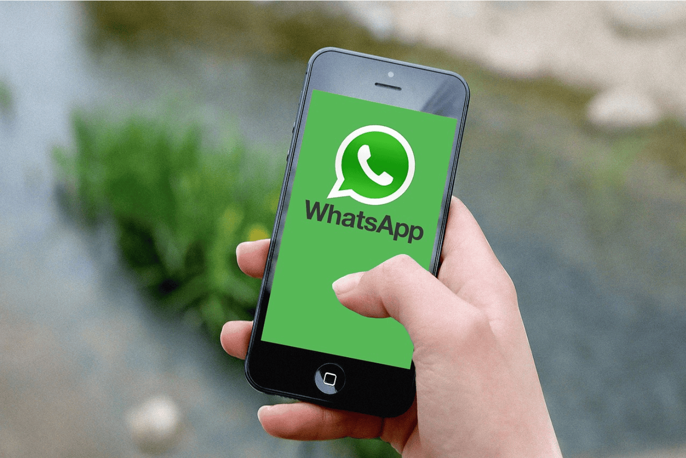 WhatsApp群发方法:如何不被封?