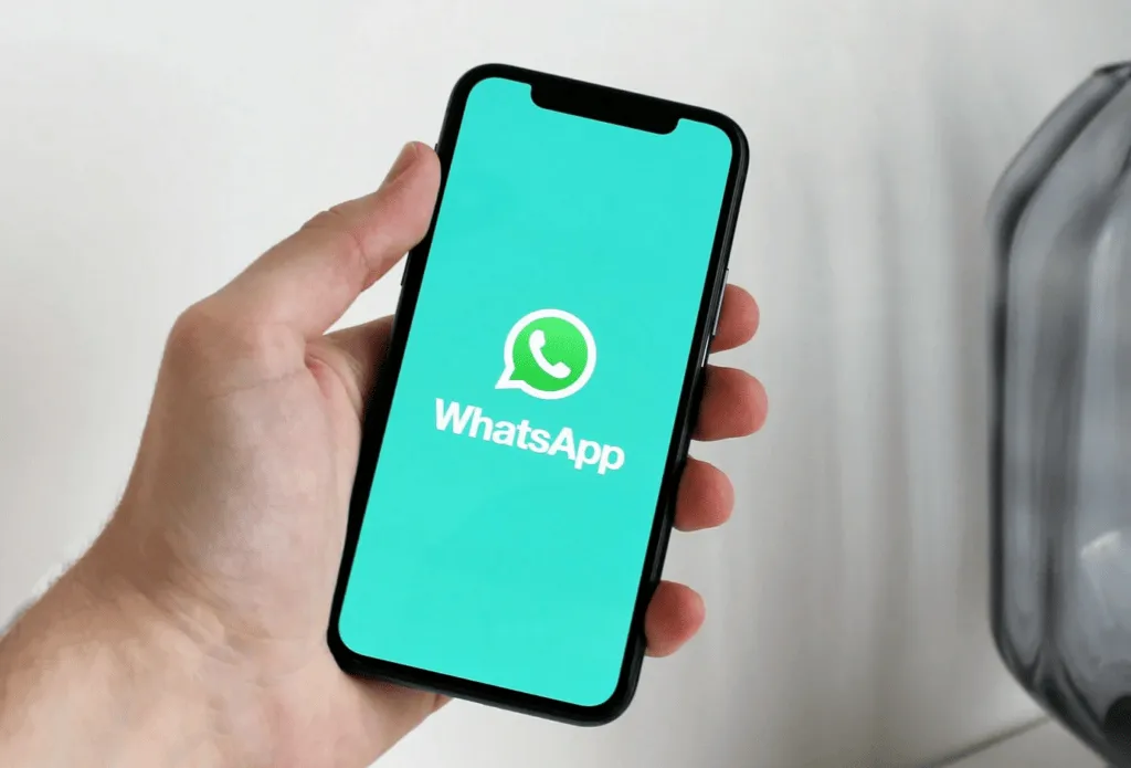 WhatsApp个人号营销:如何利用私域流量零成本触达客户?