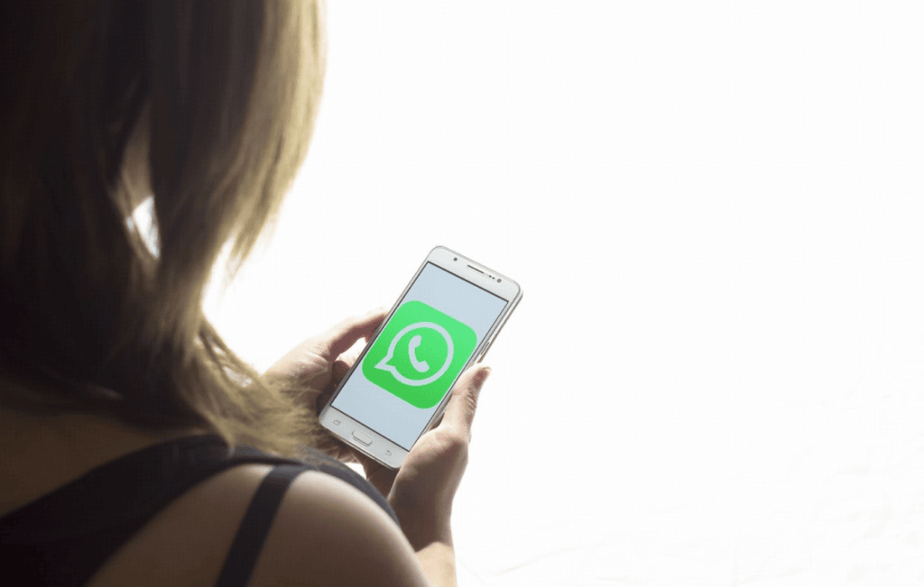 WhatsApp自动回复机器人方案对比:原生API与三方工具如何选?