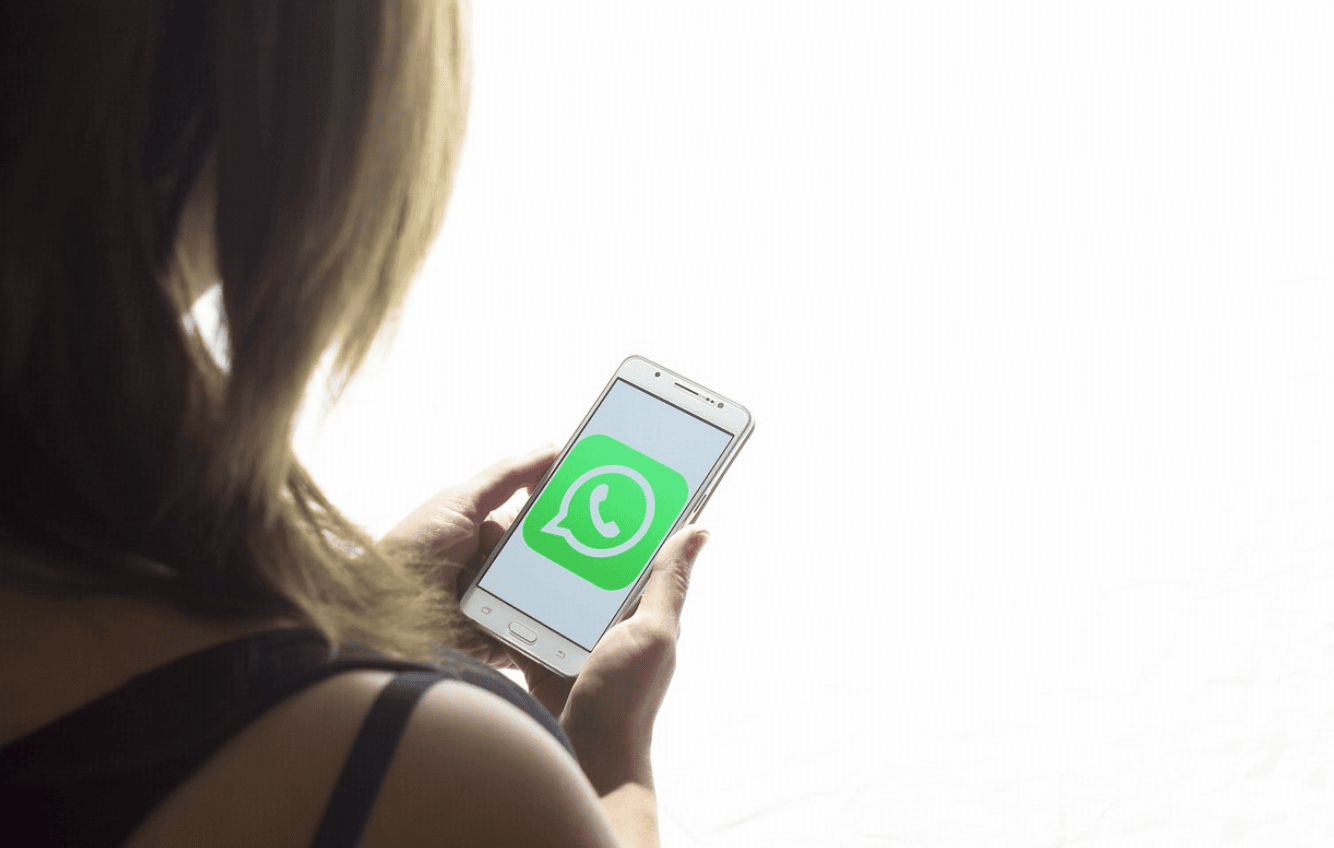 WhatsApp自动回复机器人方案对比:原生API与三方工具如何选?