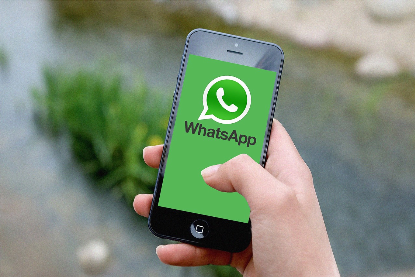 WhatsApp群发方法：如何不被封？