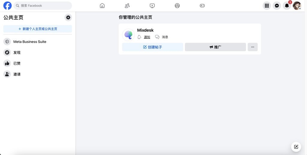Newly created Facebook Page in the Page list