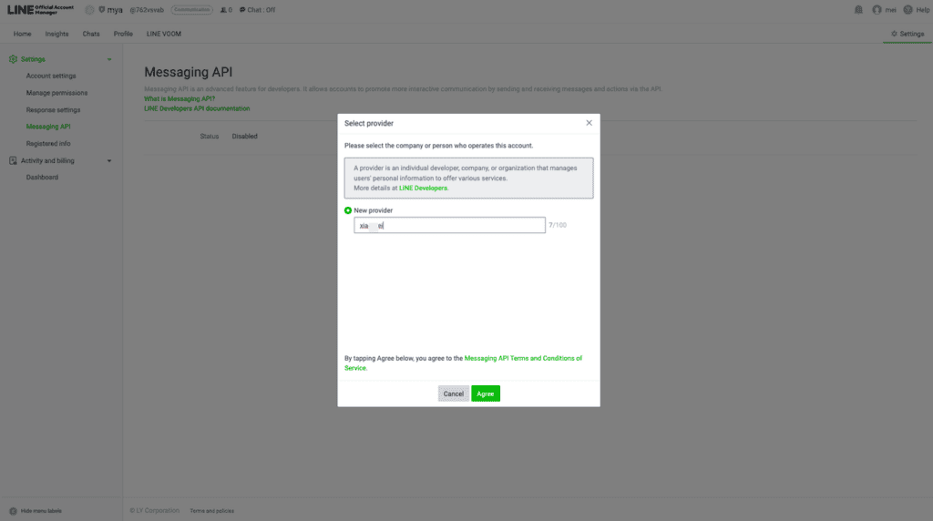 Provider selection during Messaging API setup